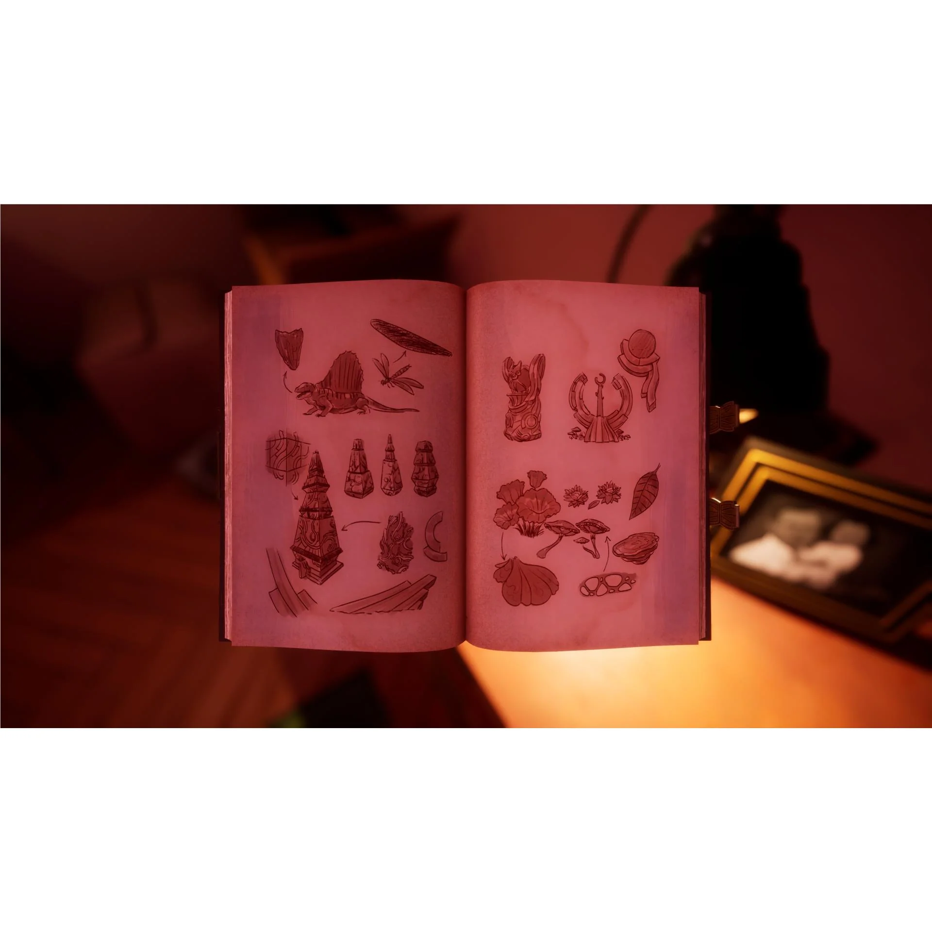 Thumbnail 13