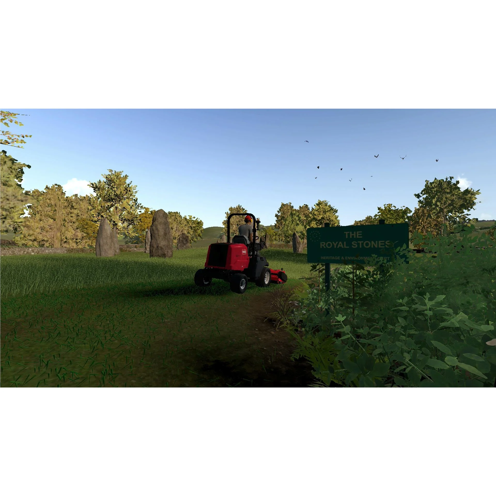 Thumbnail 8