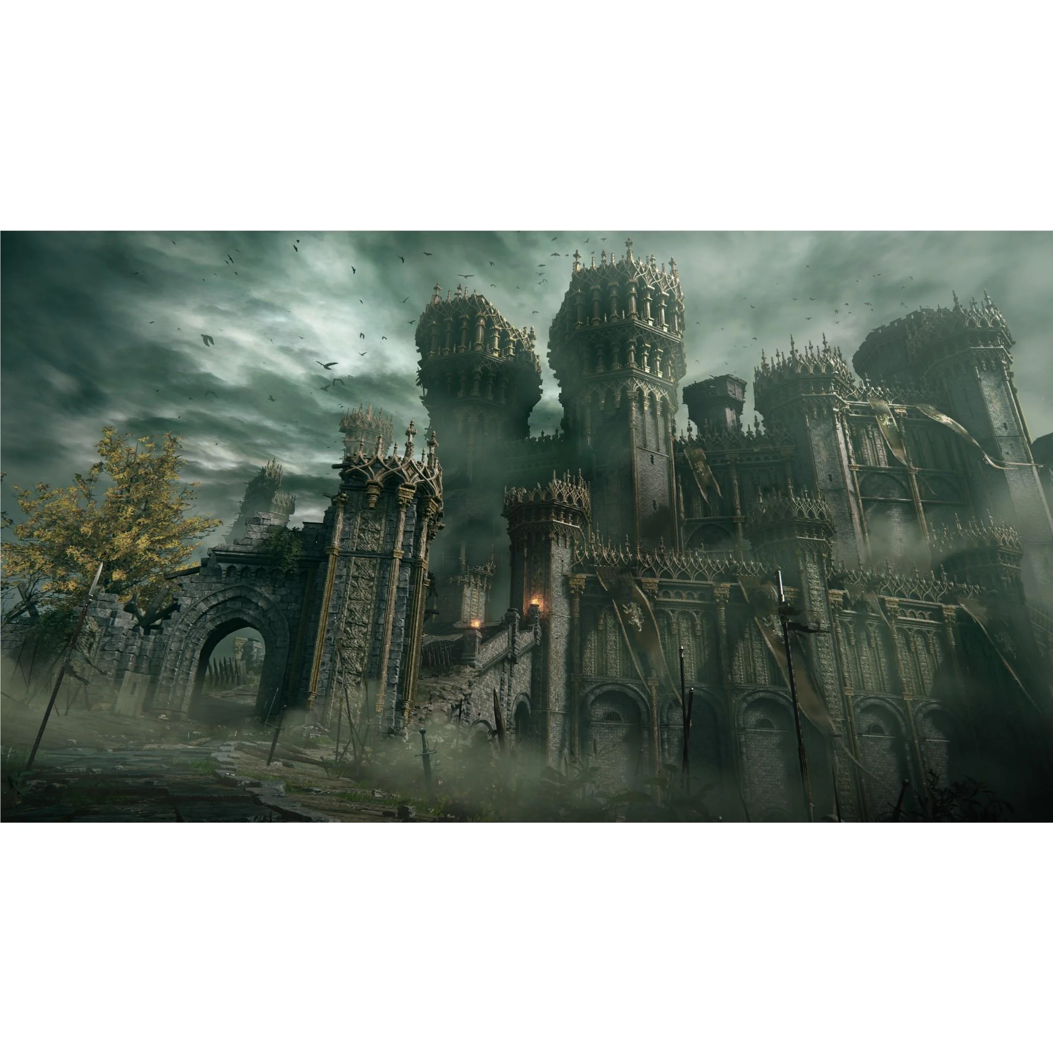 Thumbnail 11