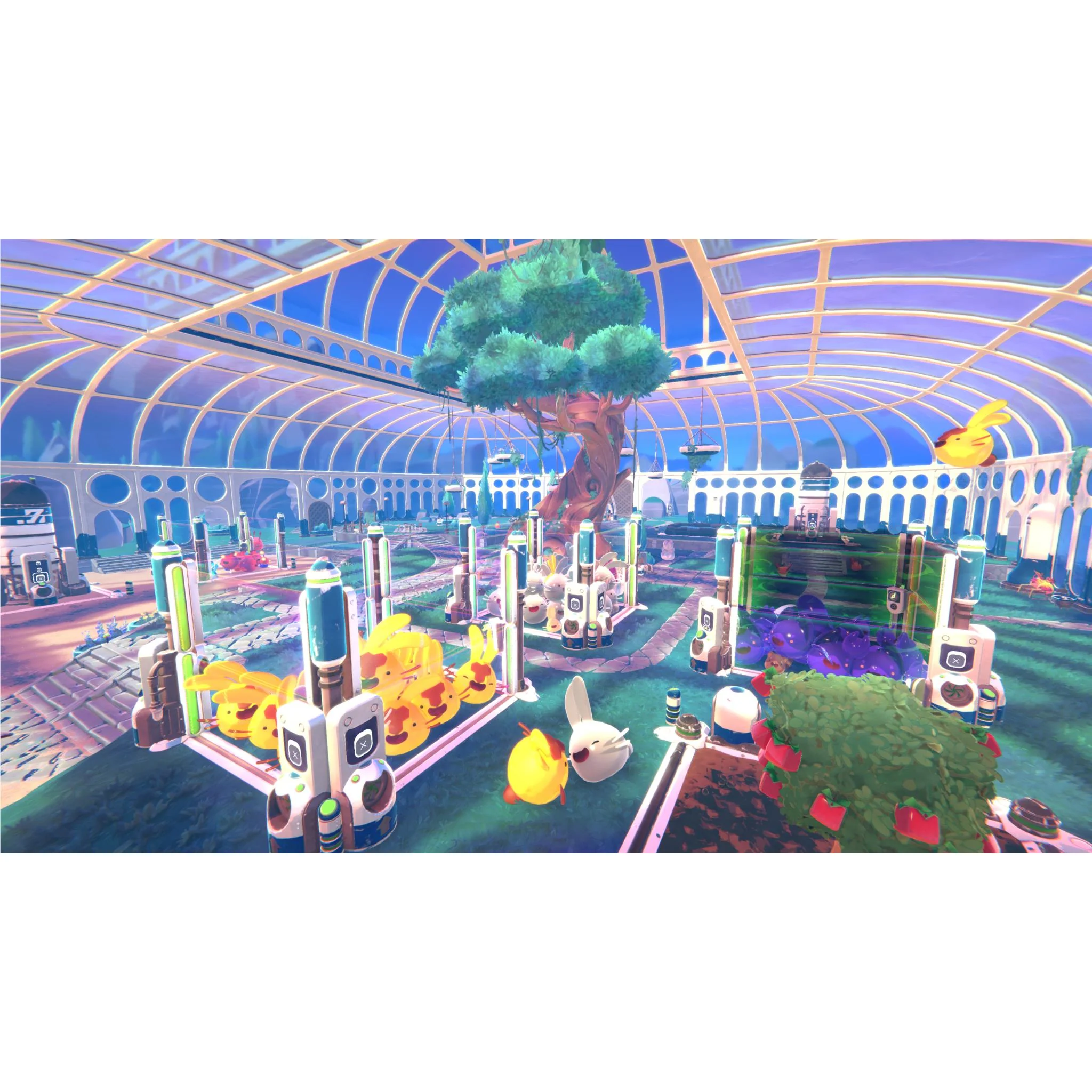 Thumbnail 11