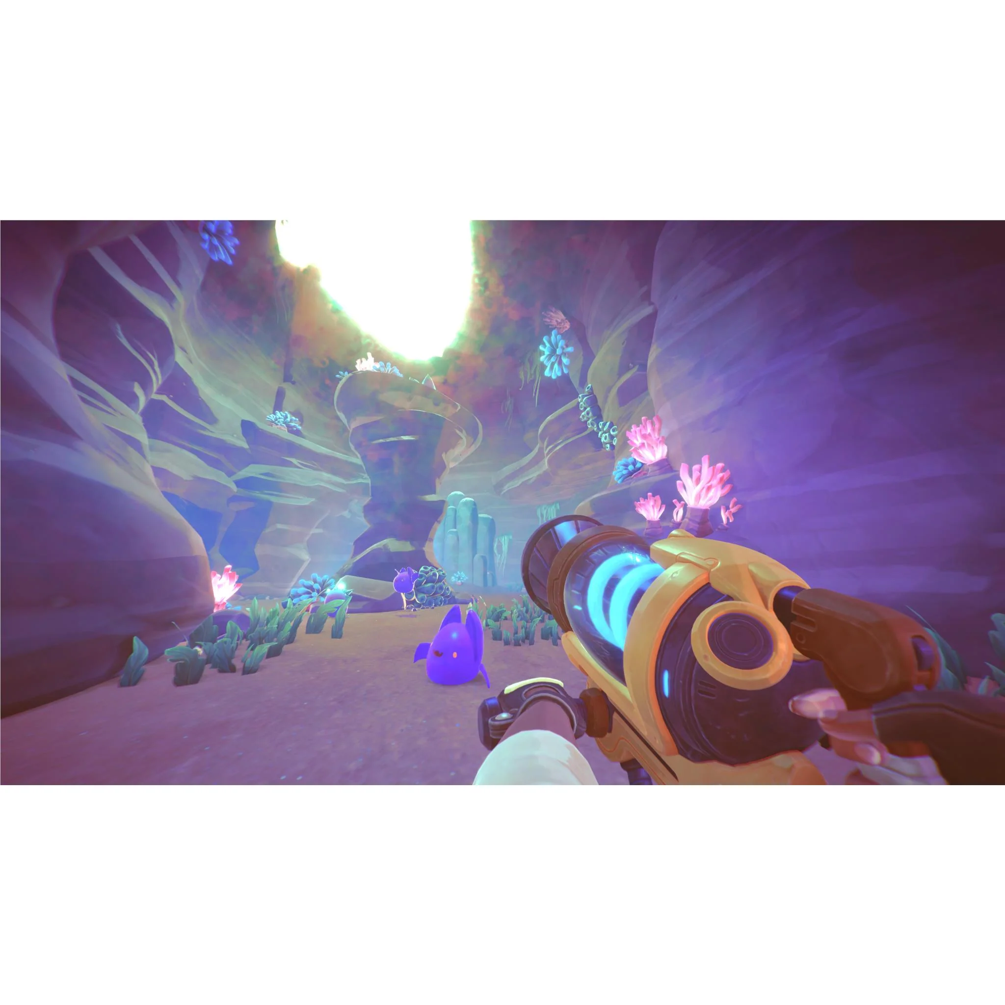 Thumbnail 12